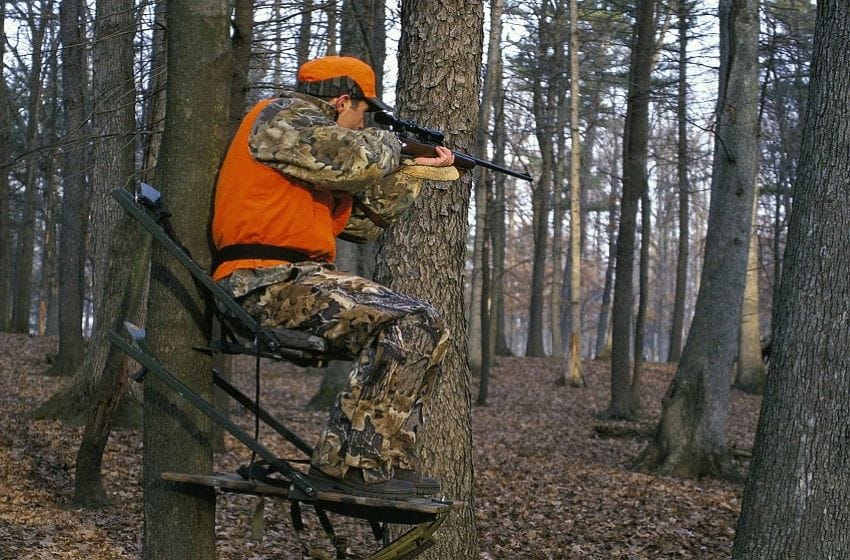 Basic Hunter Education Course - LYH – Lynchburg Tourism