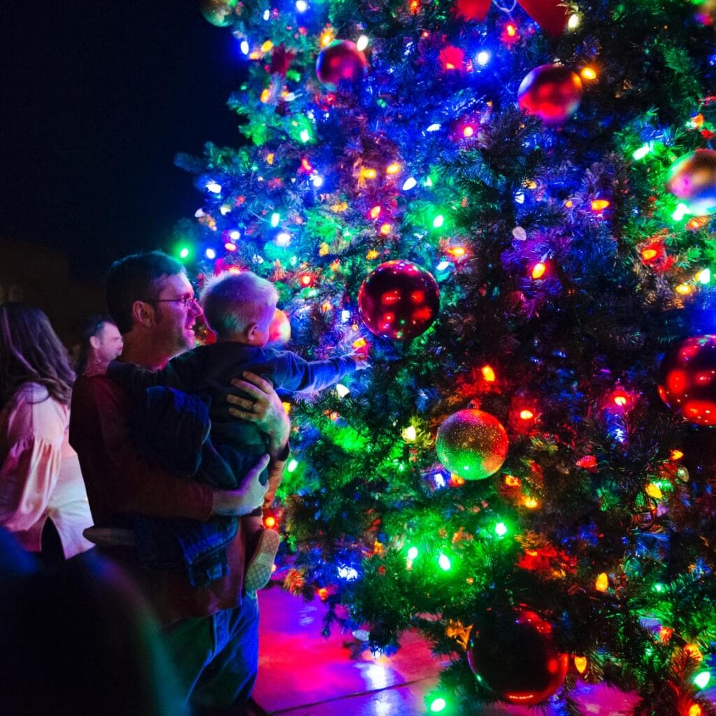 17+ Bluff Walk Christmas Lights